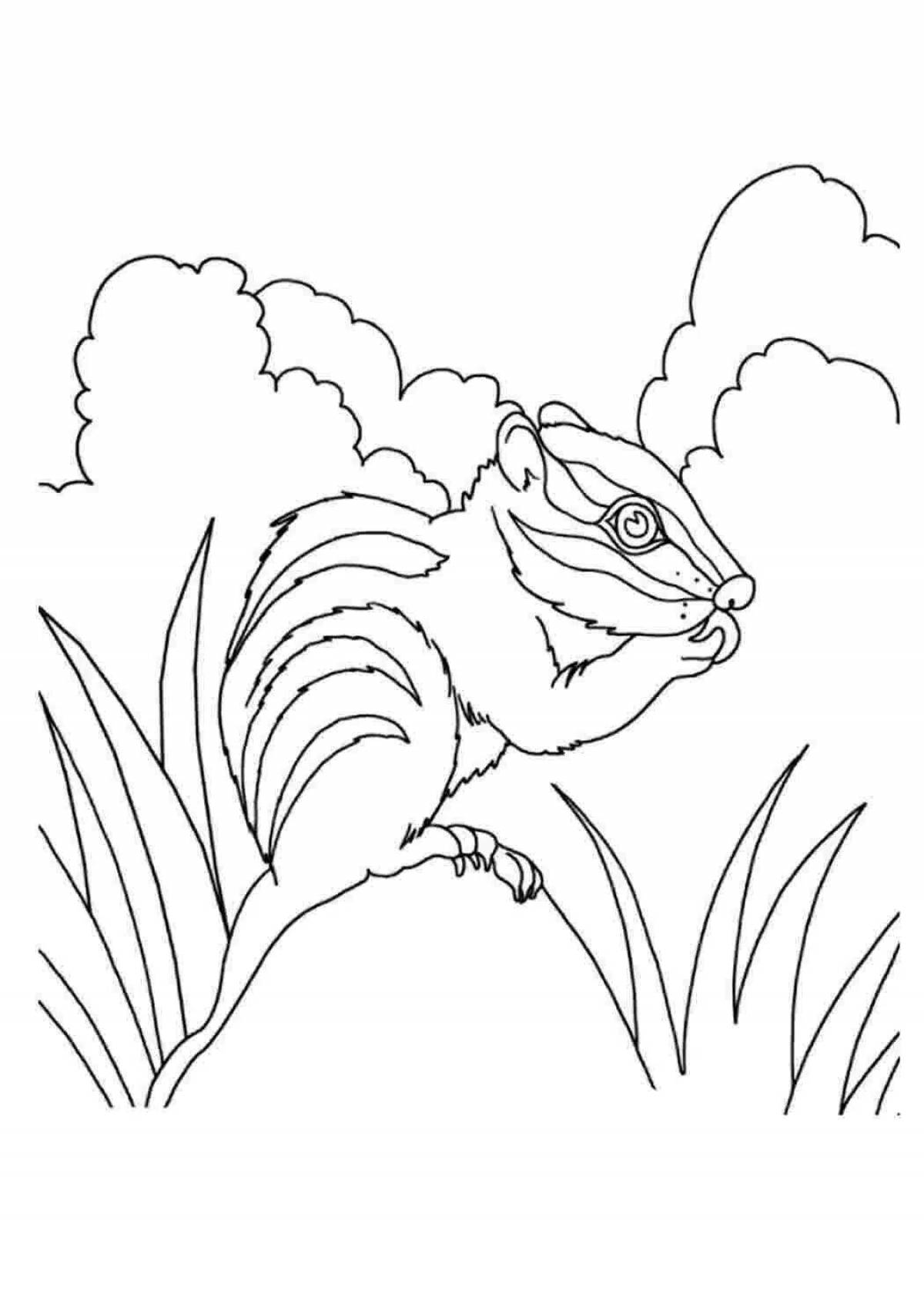 Раскраска Игривая раскраска бурундук для детей