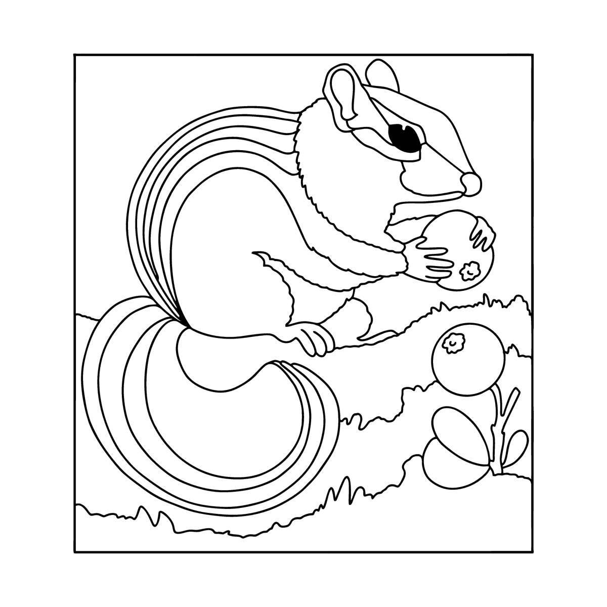 Colourful chipmunk coloring book for kids