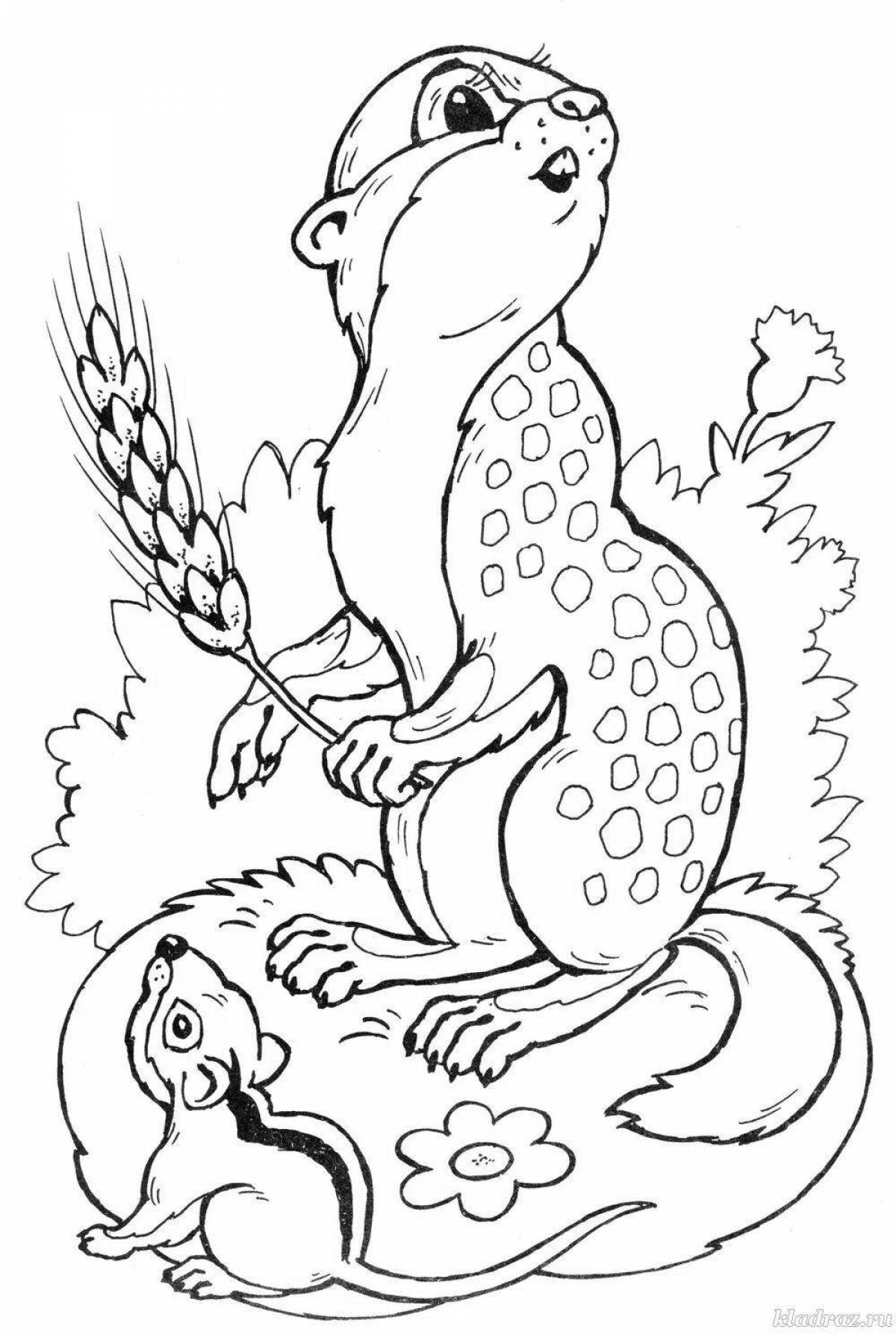 Creative chipmunk coloring book for kids