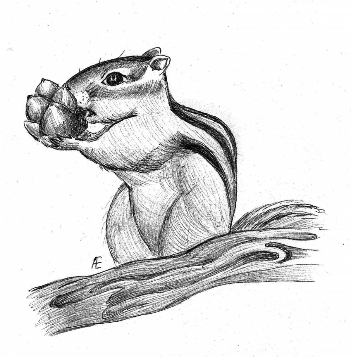 Fabulous chipmunk coloring book for kids