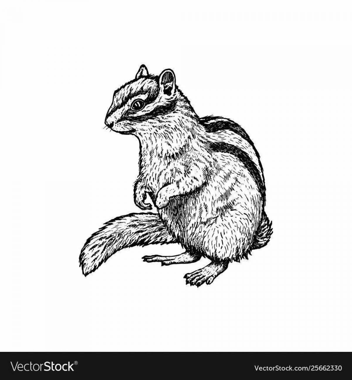 Раскраска Бурундук для детей #2