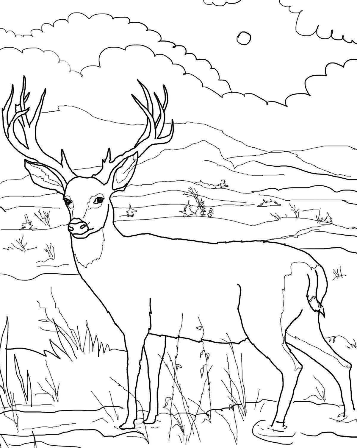 Charming deer coloring page