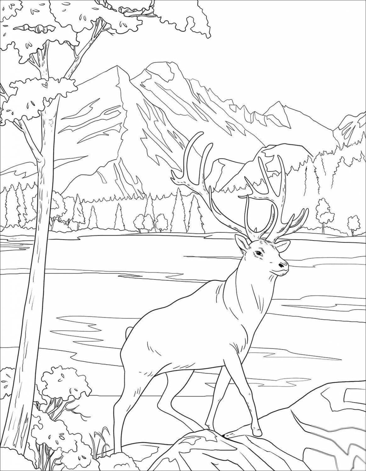 Coloring book shining deer