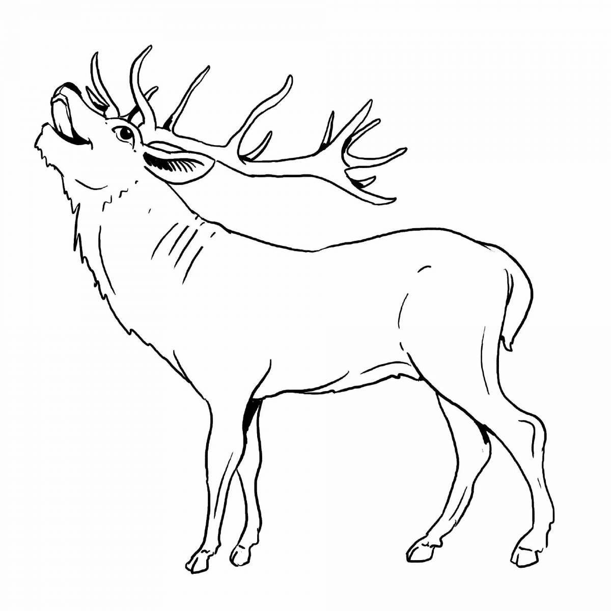 Shiny deer coloring page