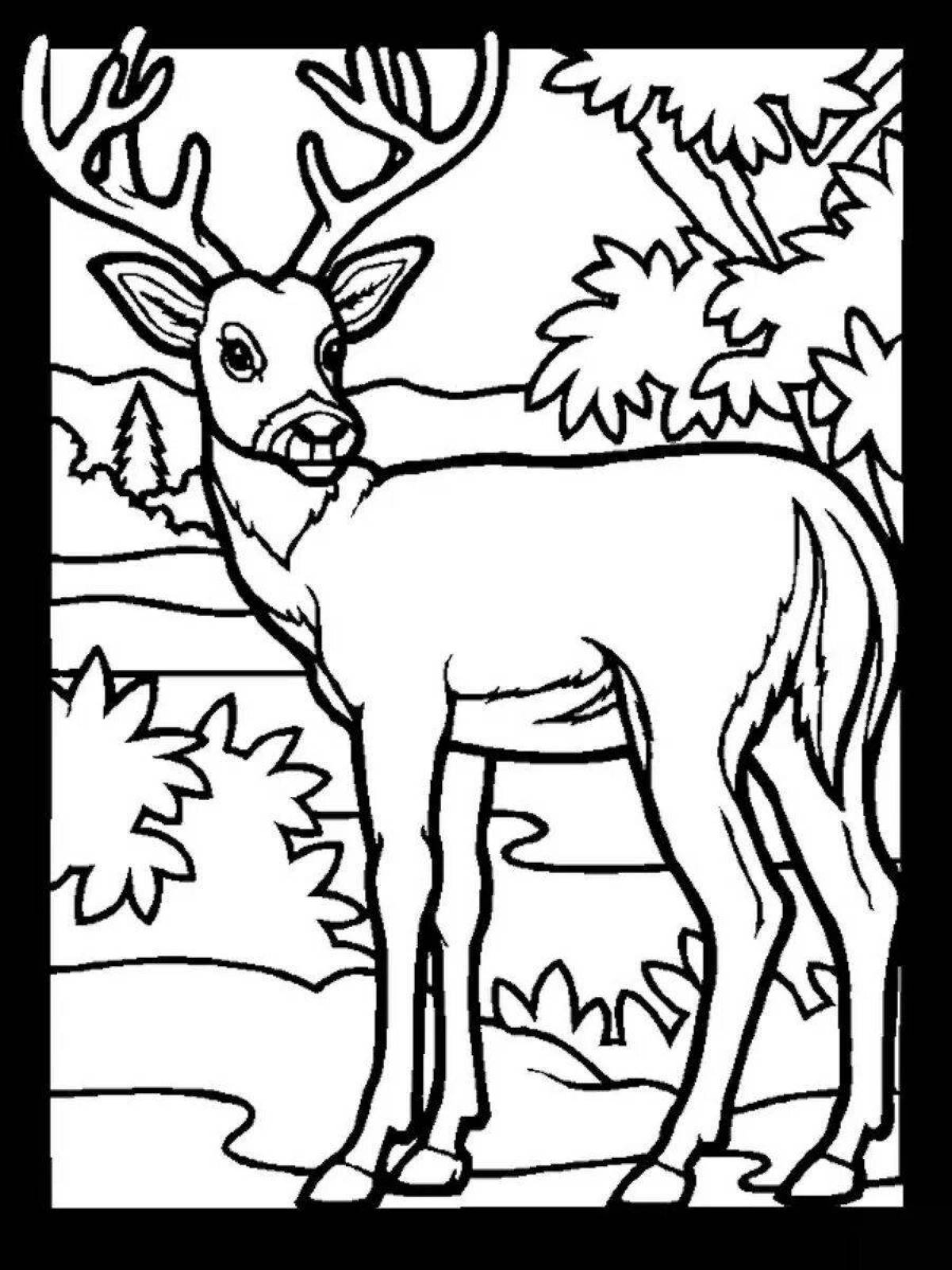 Colouring calm deer