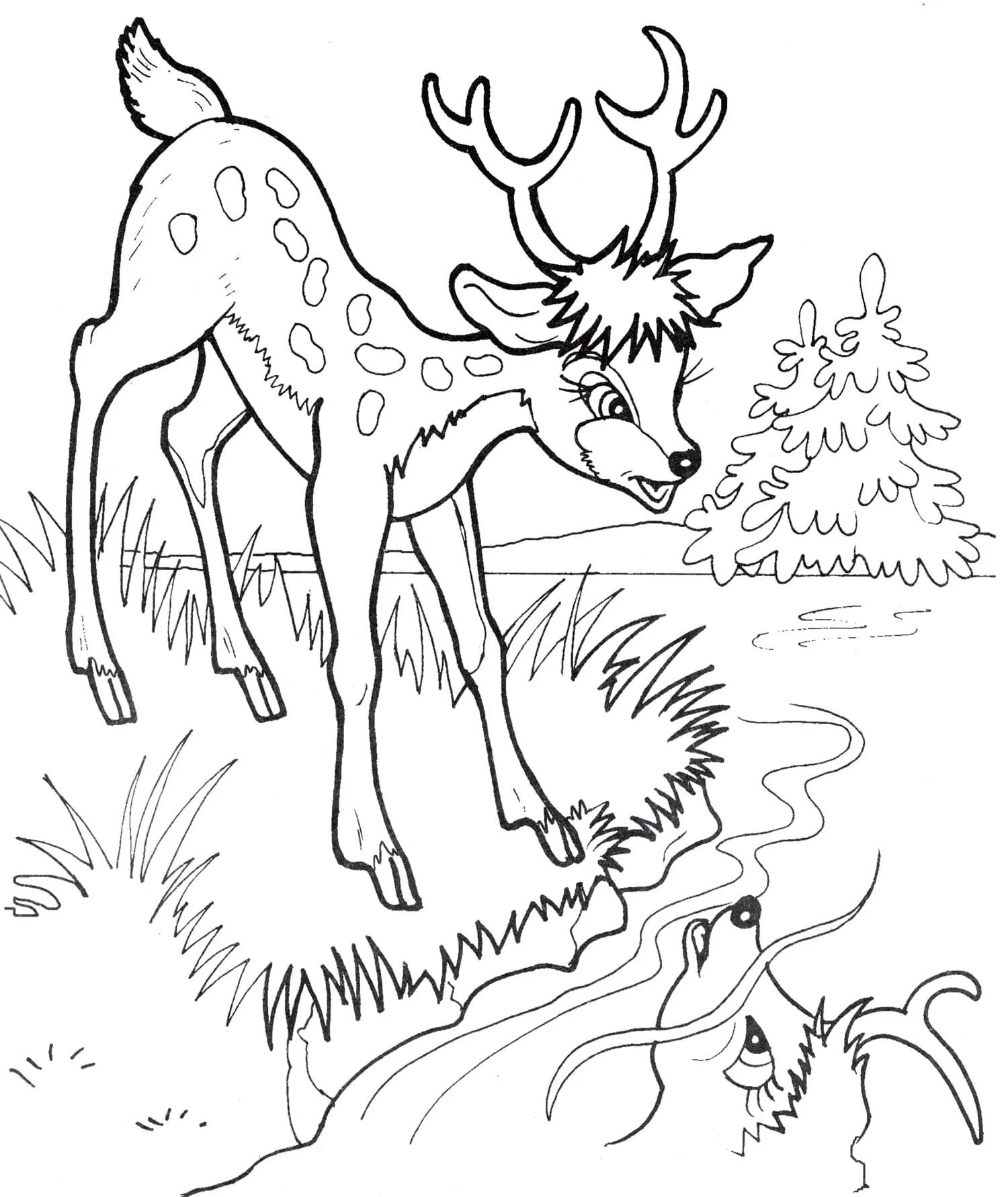 Colourful deer coloring page