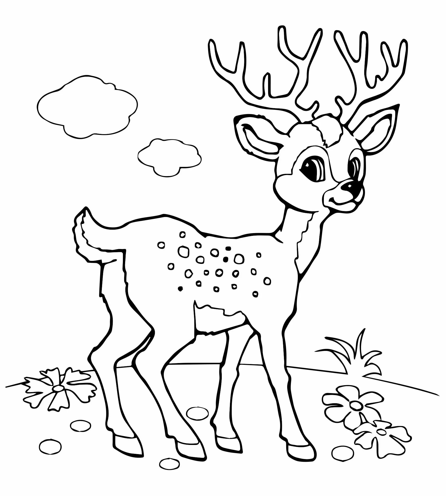 Charming deer coloring book