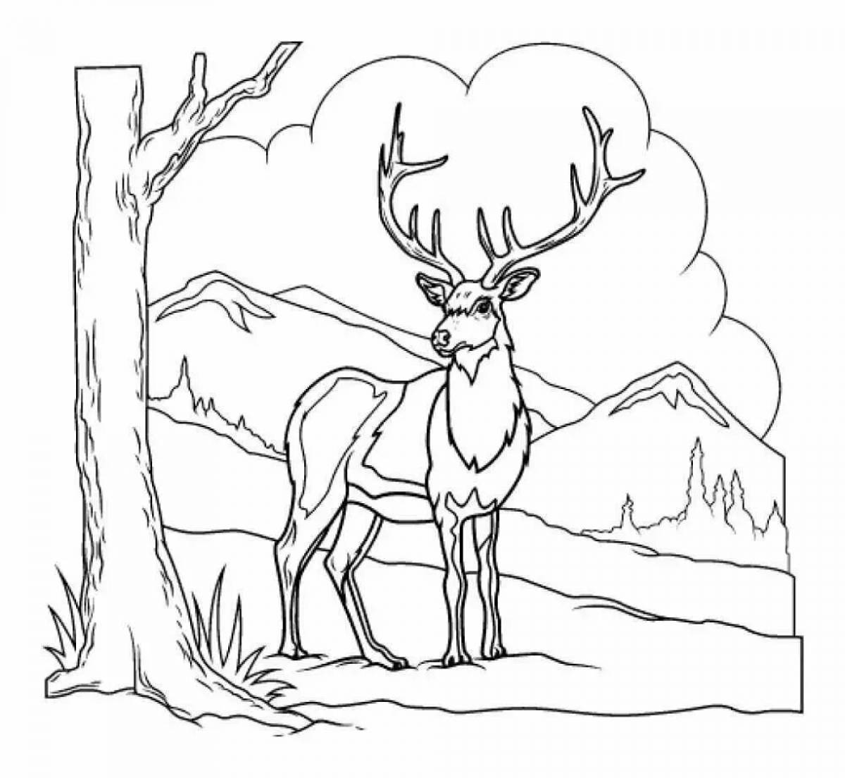 Coloring dreamy deer