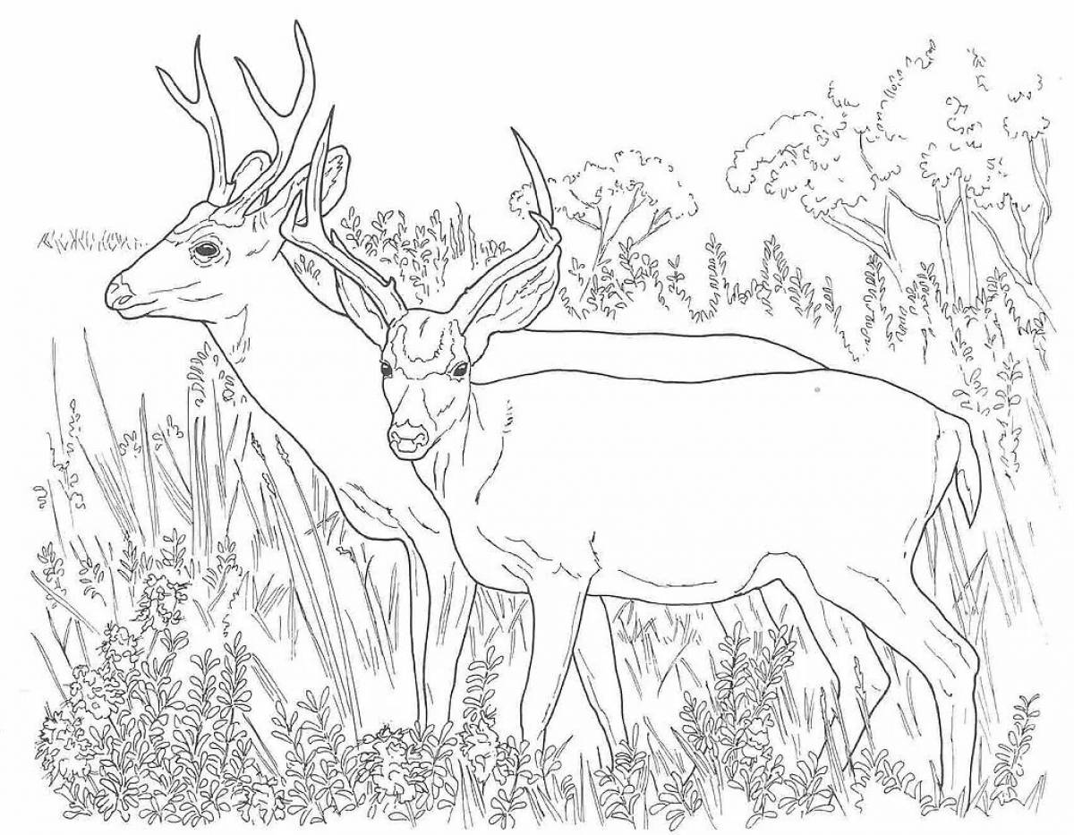 Deer in the forest #2