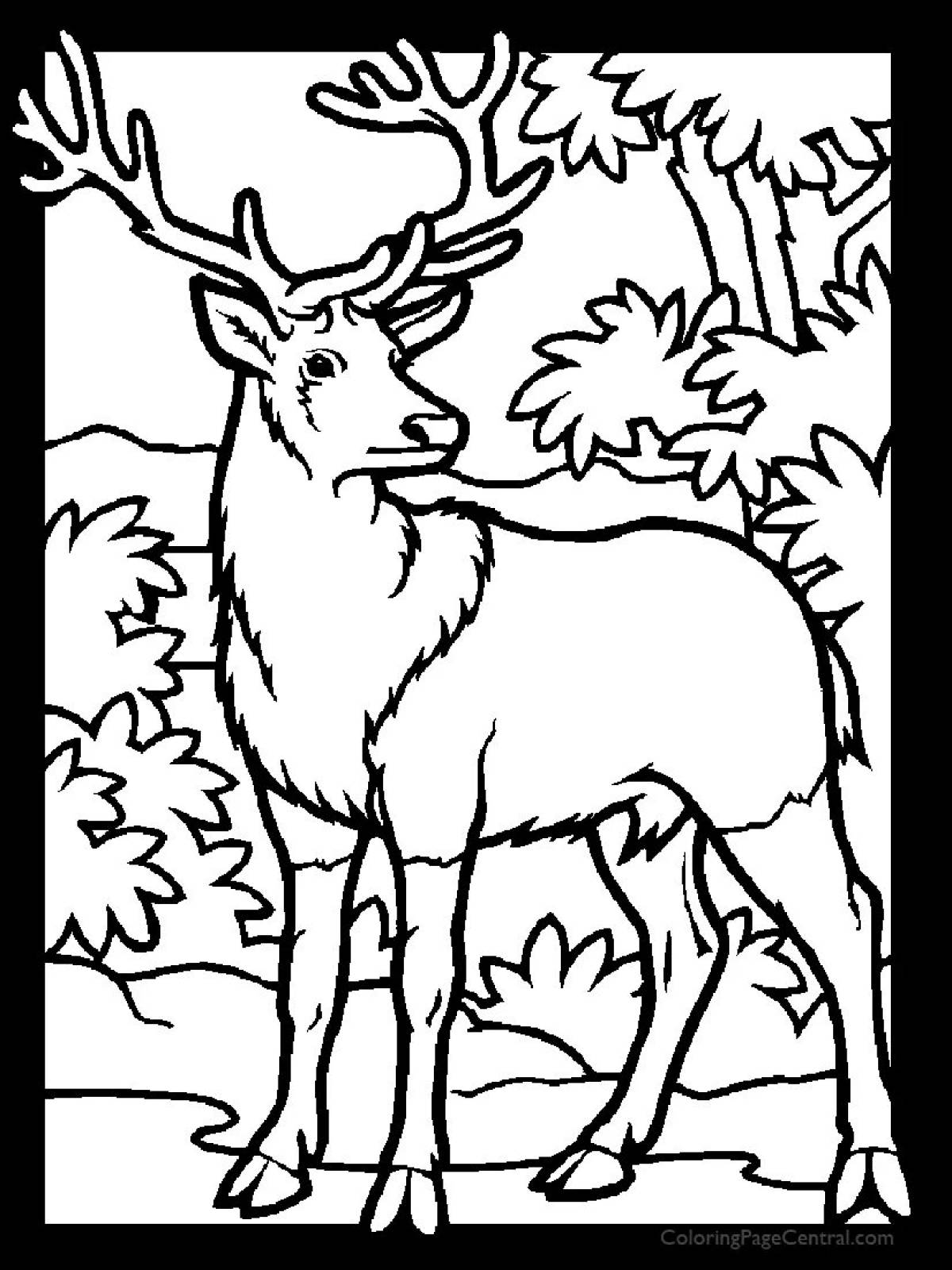 Deer in the forest #5