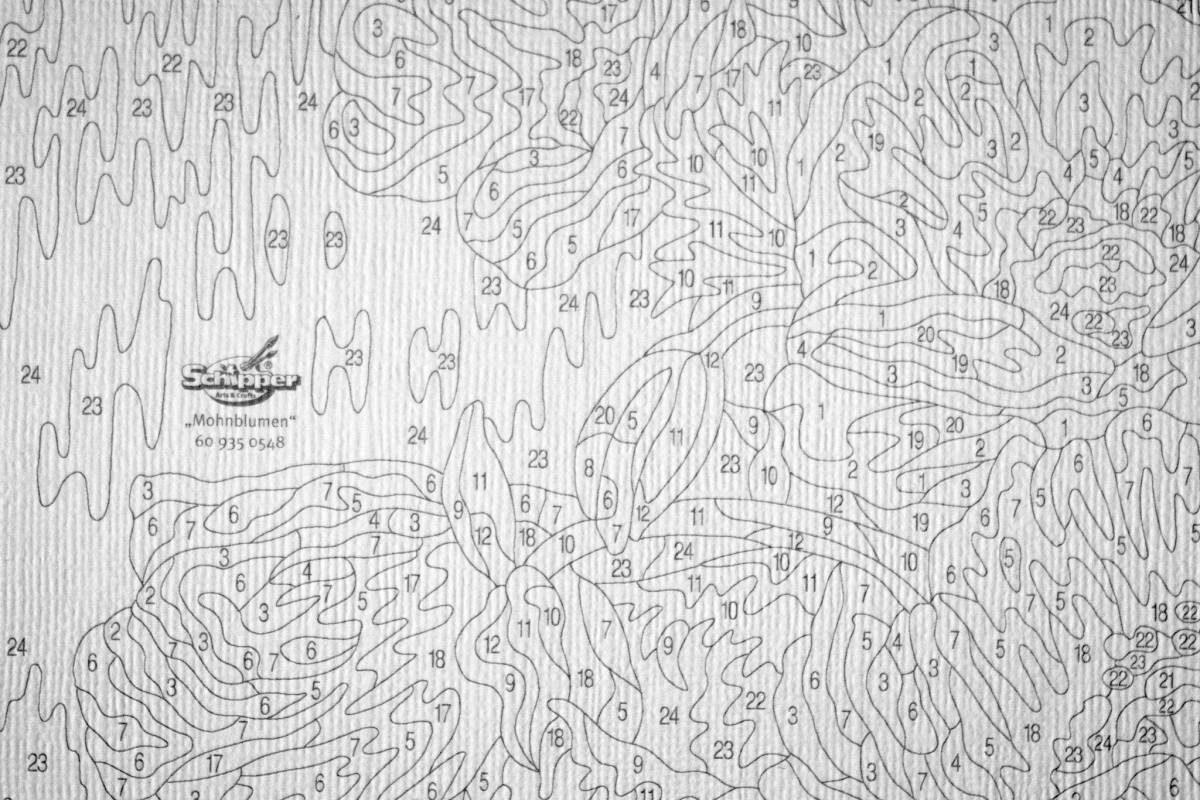 Leonardo's amazing numbers coloring book