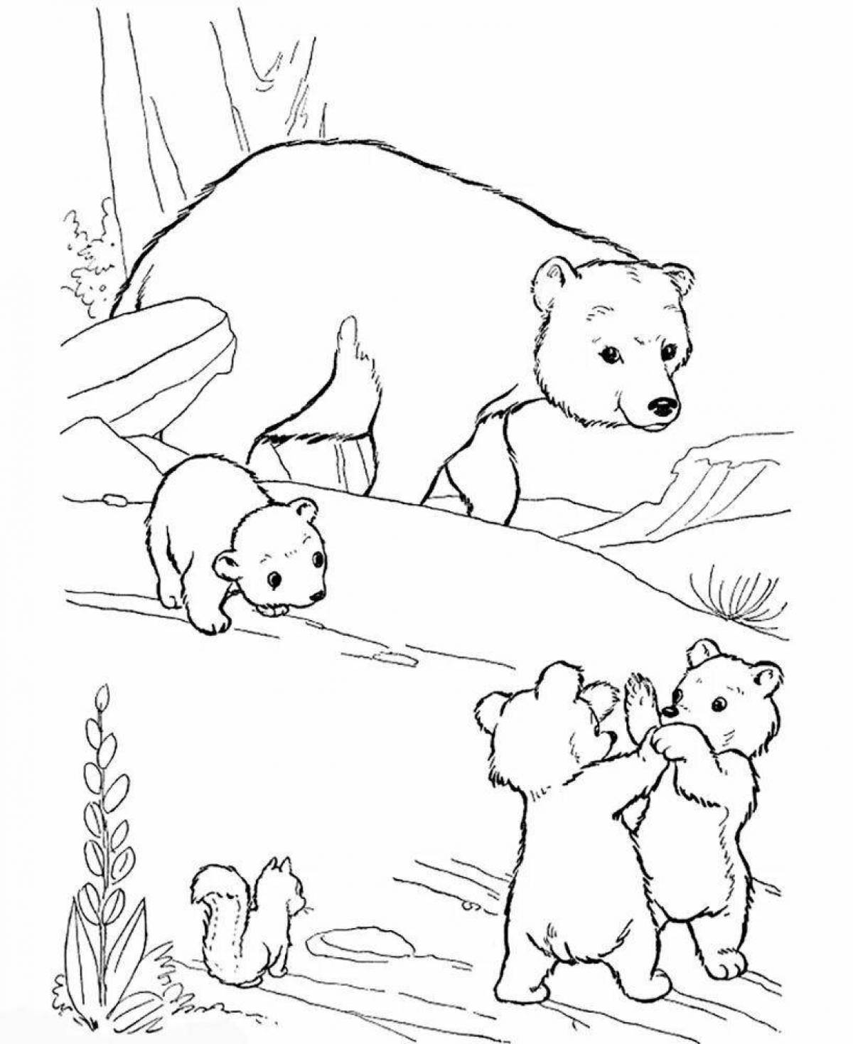Раскраска живой медведь