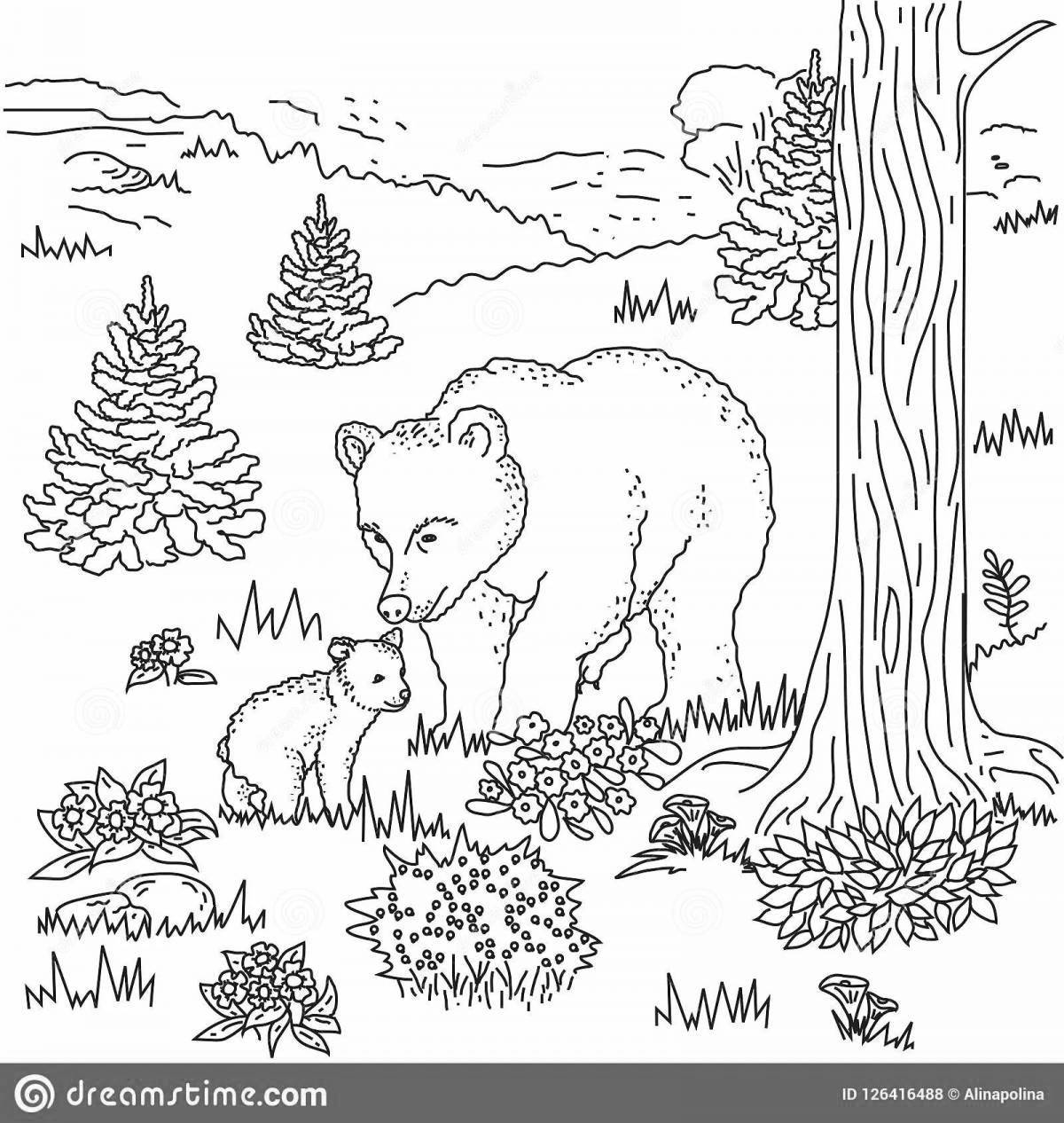 Coloring wild bear