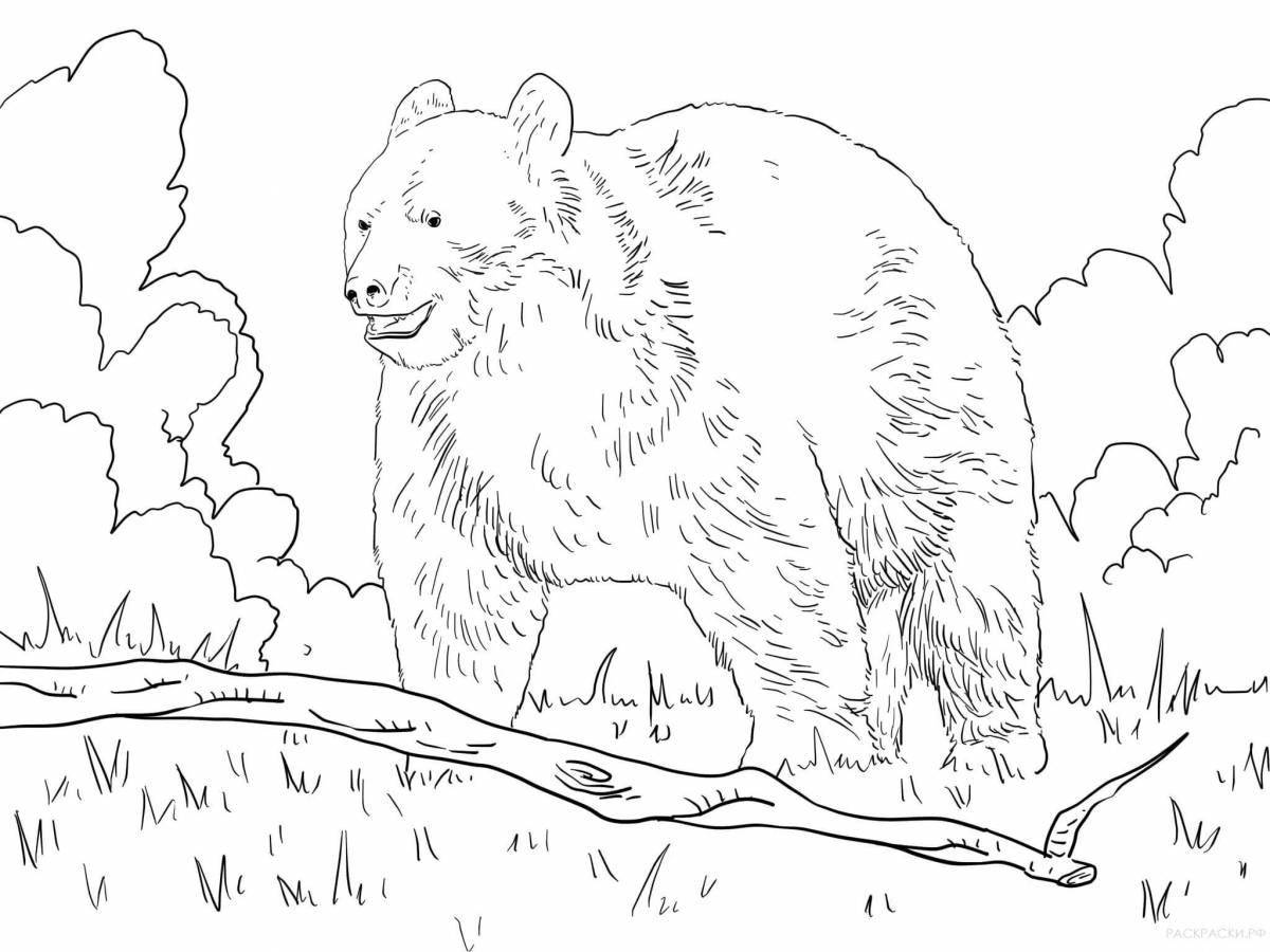 Beating bear coloring page