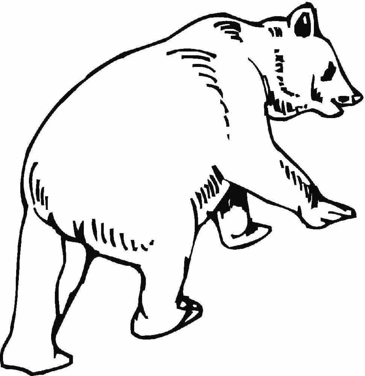 Раскраска славный медведь