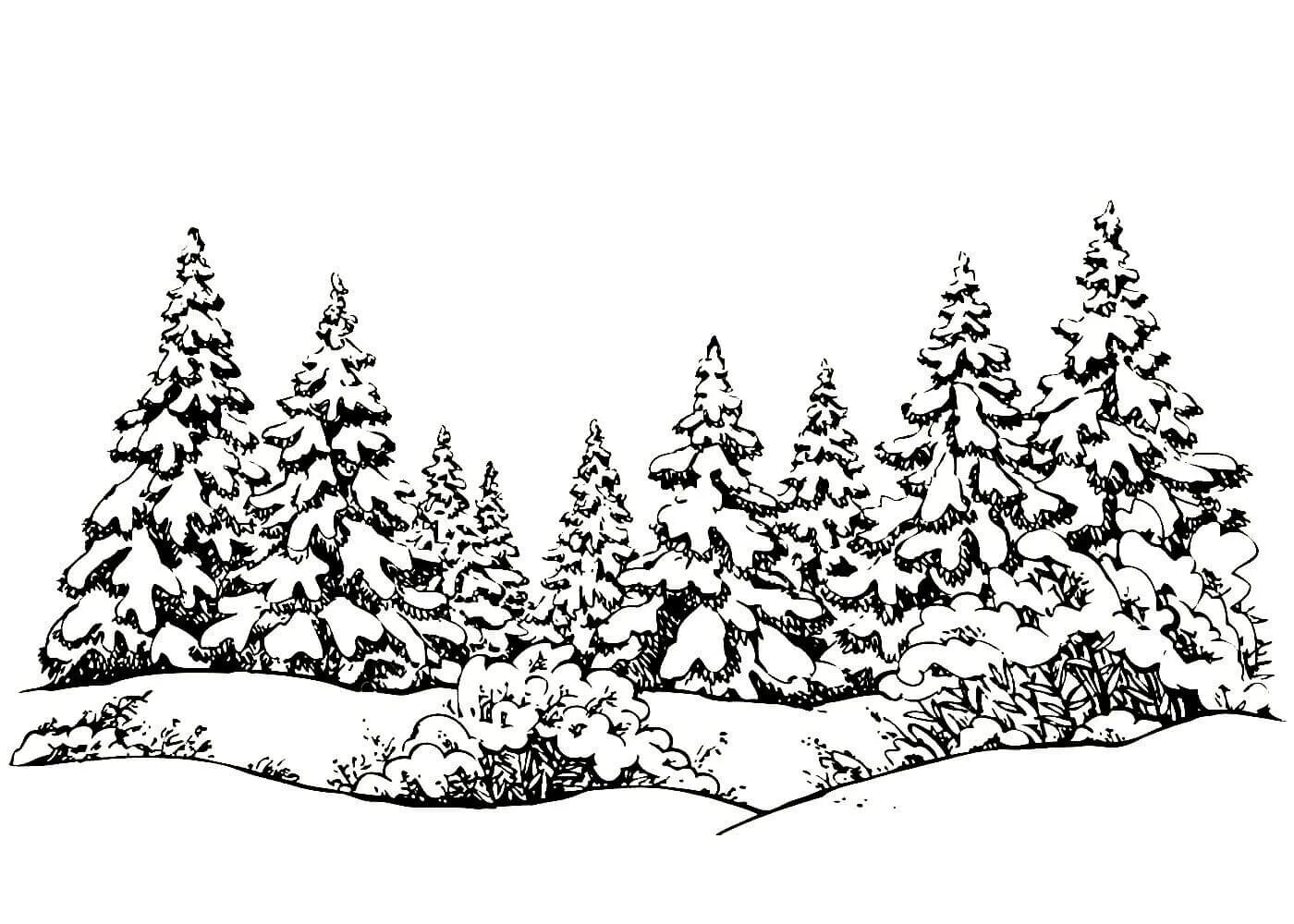 Winter forest drawing #16