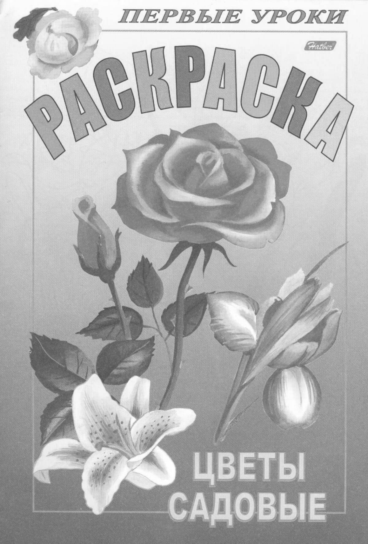 Fun first coloring lessons