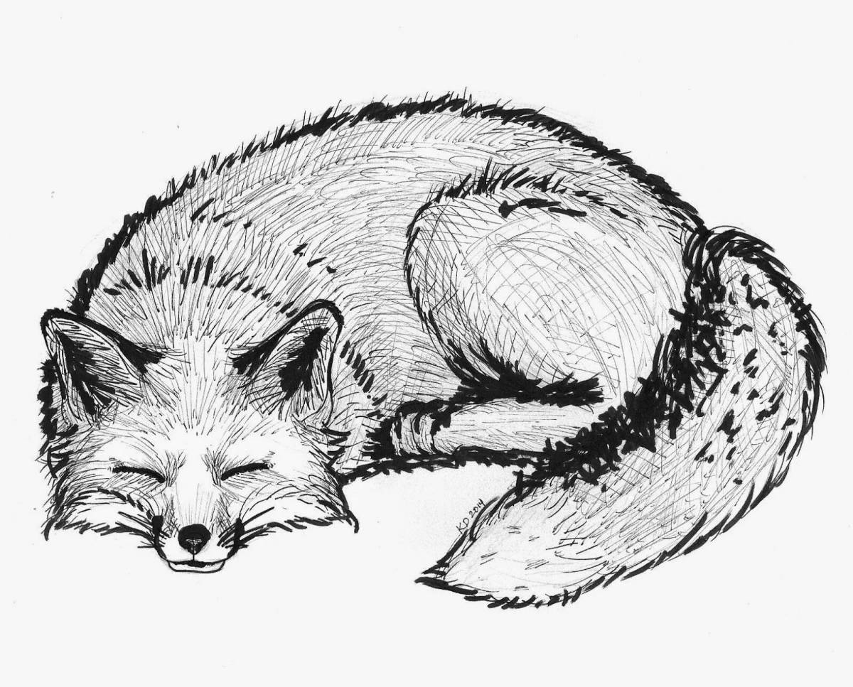 Fluffy fox in a hole