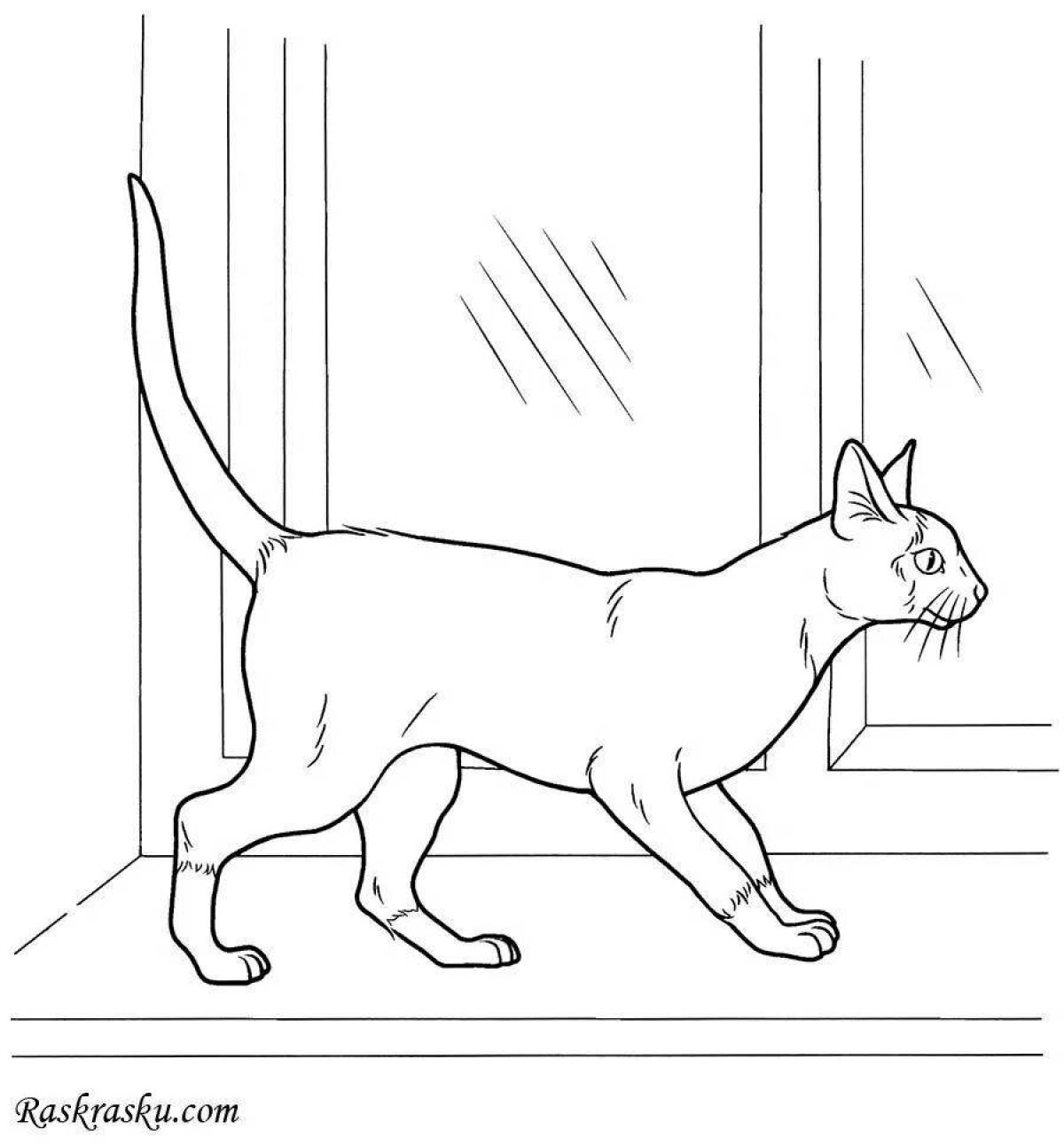 Контент-кот на окне