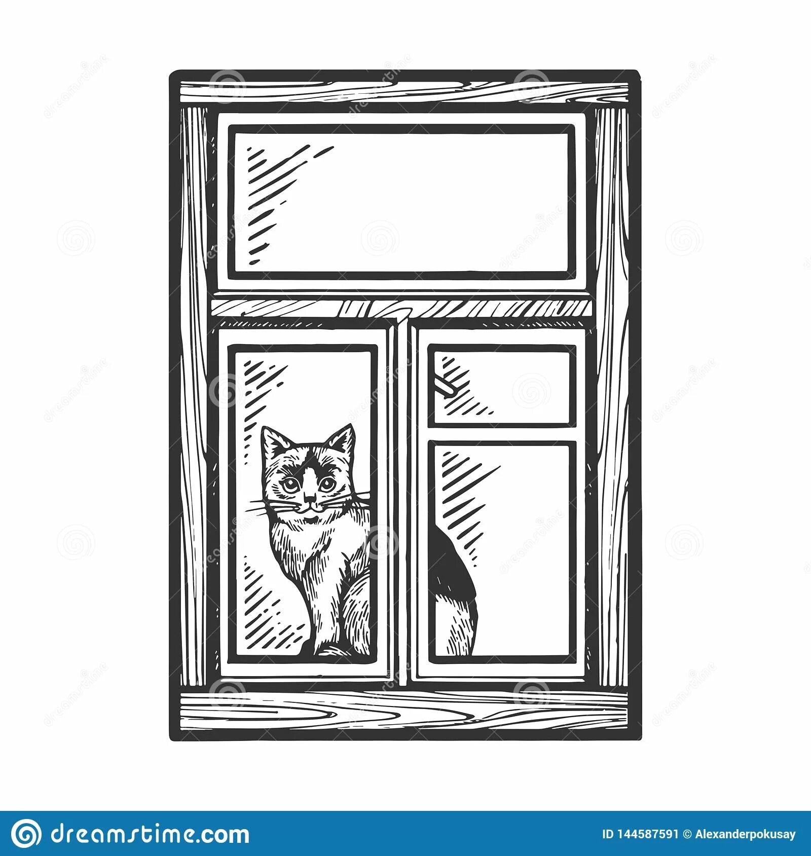 Cat on window #9