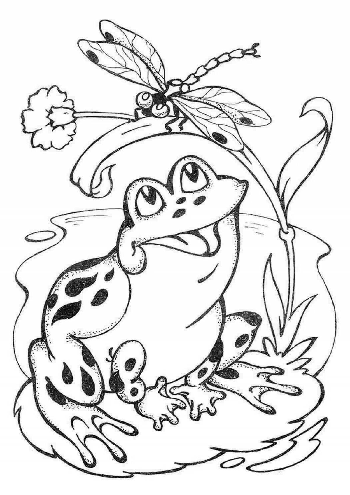Drawing frog traveler #6