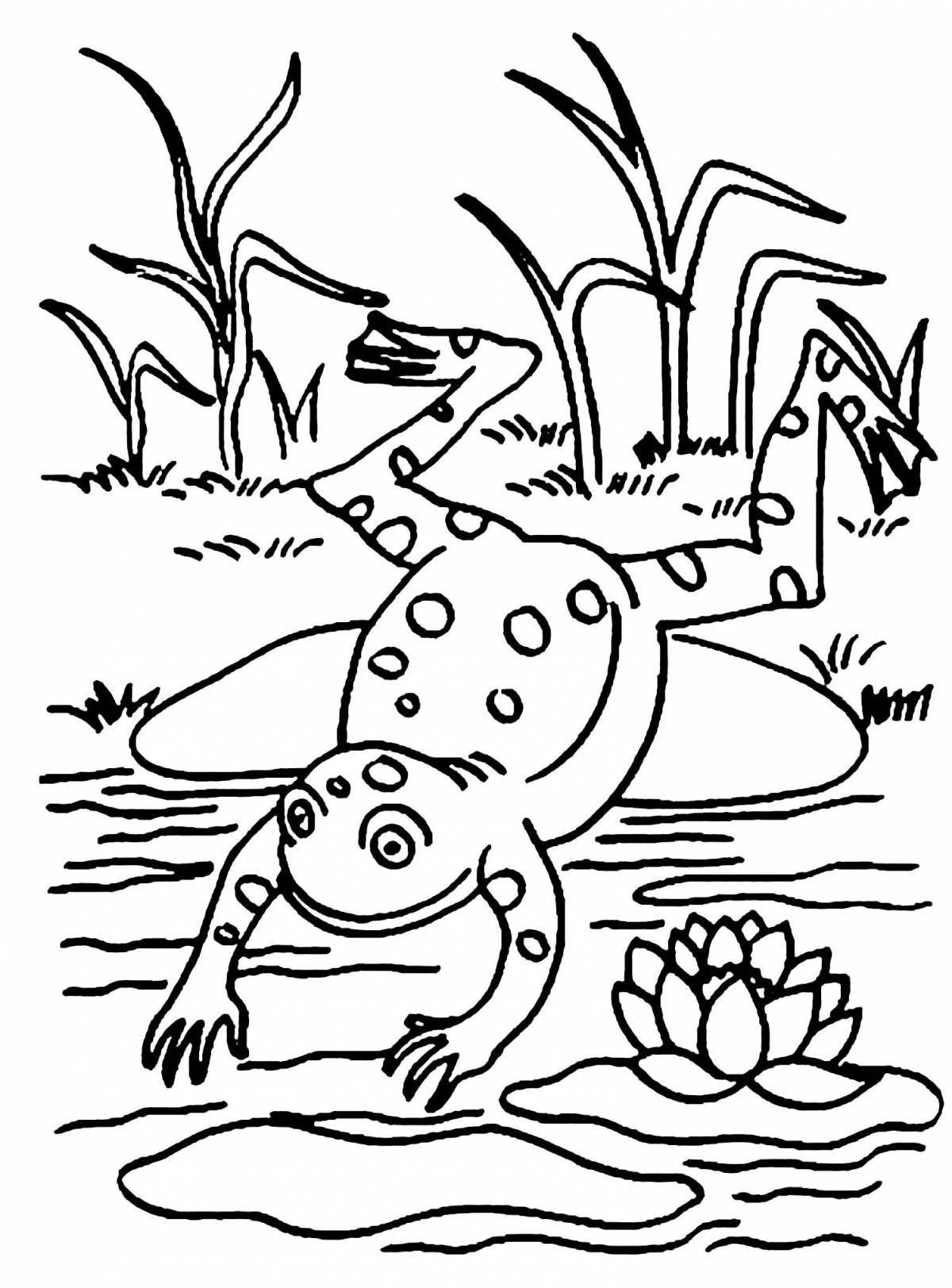 Drawing frog traveler #15