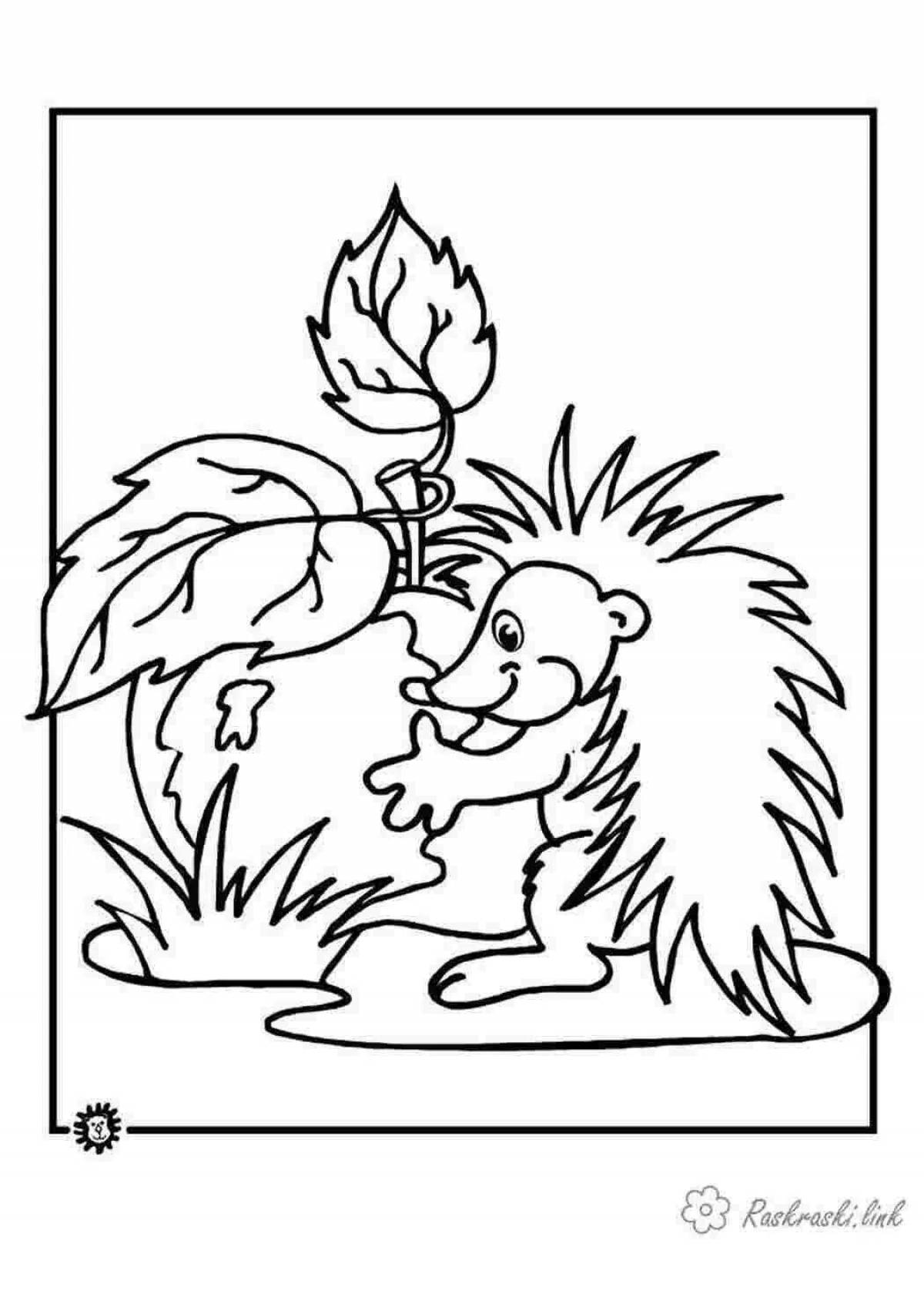 Content hedgehog in the forest