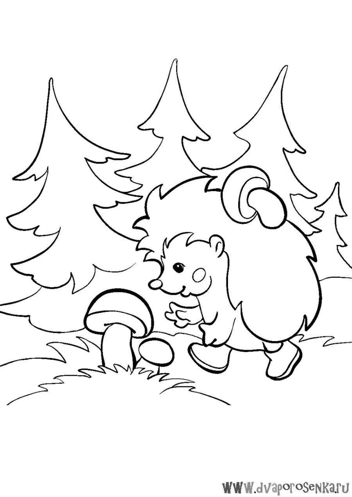 Brilliant hedgehog in the forest