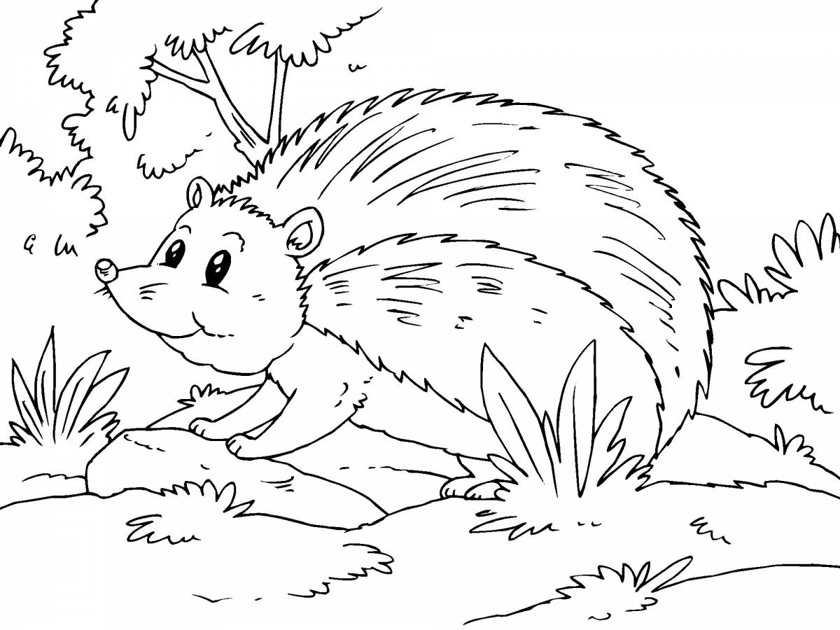 A busy hedgehog in the forest