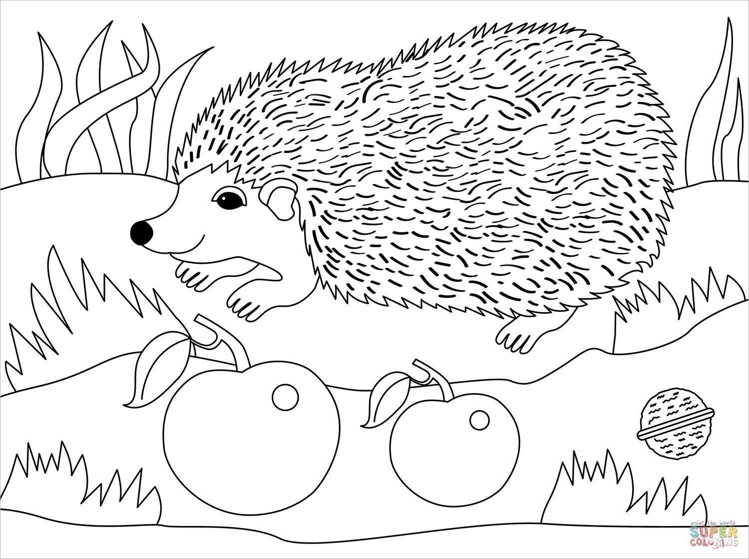 A charming hedgehog in the forest