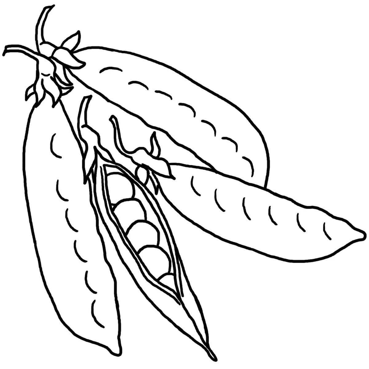 Shiny beans coloring page for students