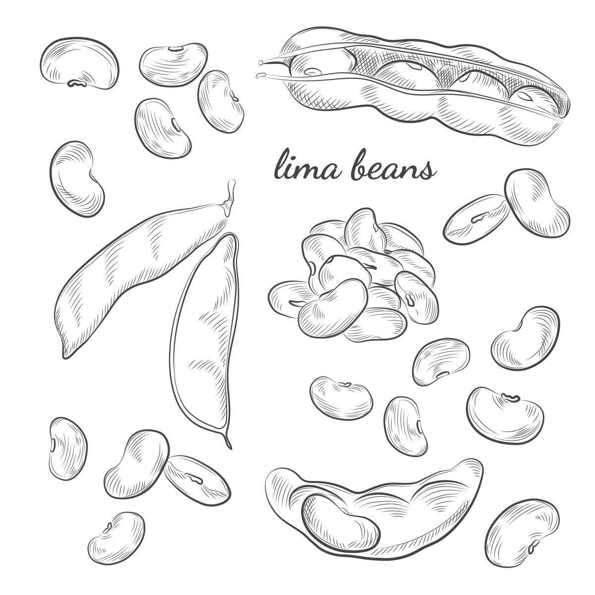 Great bean coloring book for kids