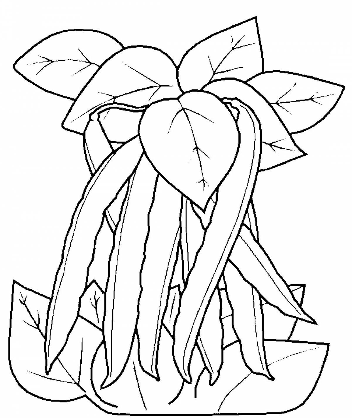 Sweet bean coloring page for beginners