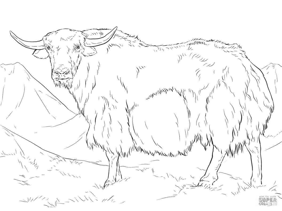 Adorable yak coloring book for kids