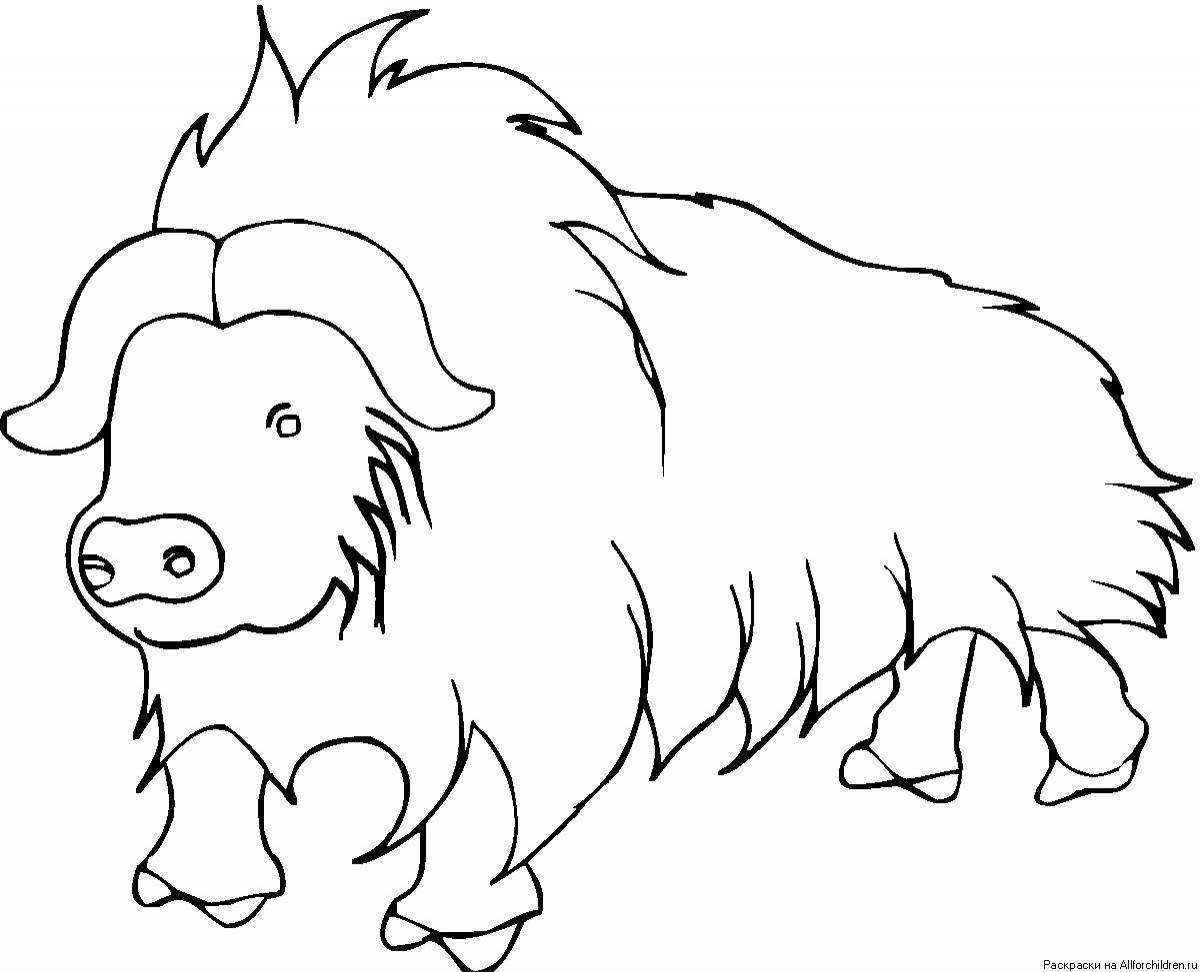 Fun coloring yak for kids