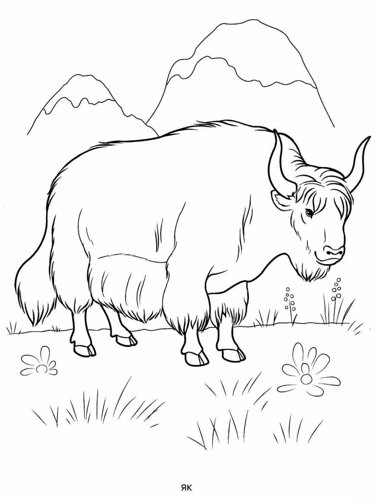 Веселый як раскраски для детей