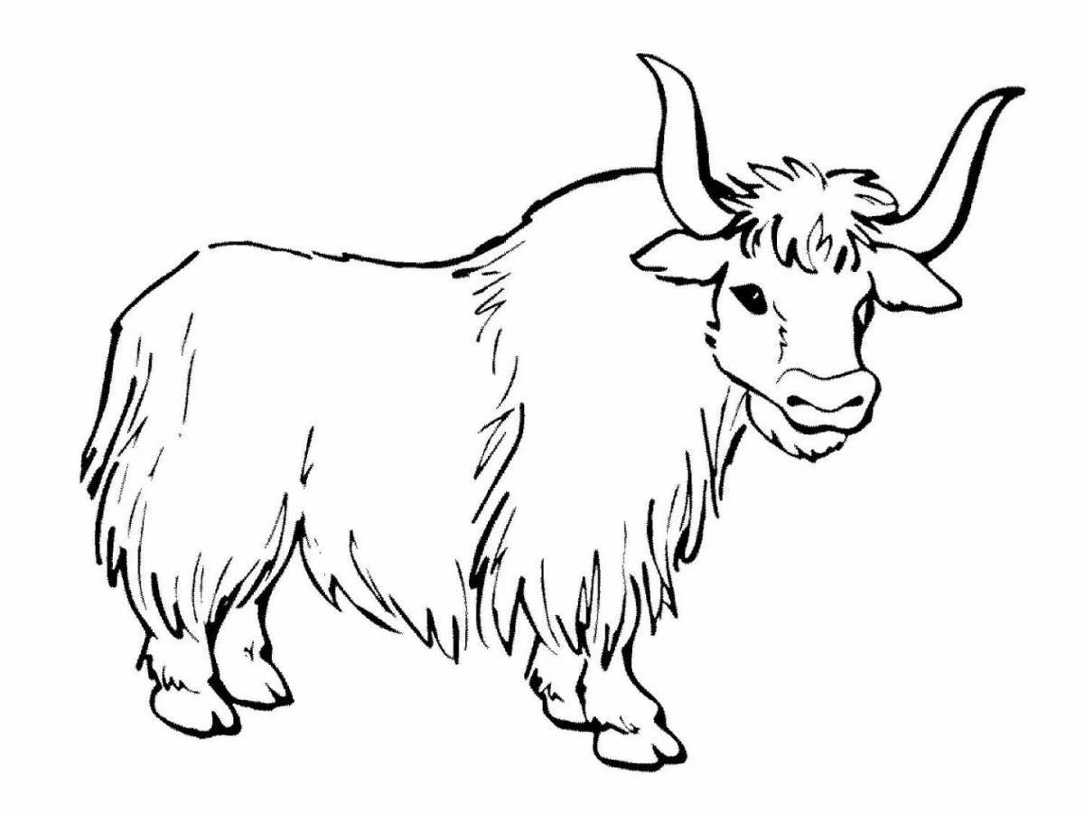 Fun coloring yak for kids