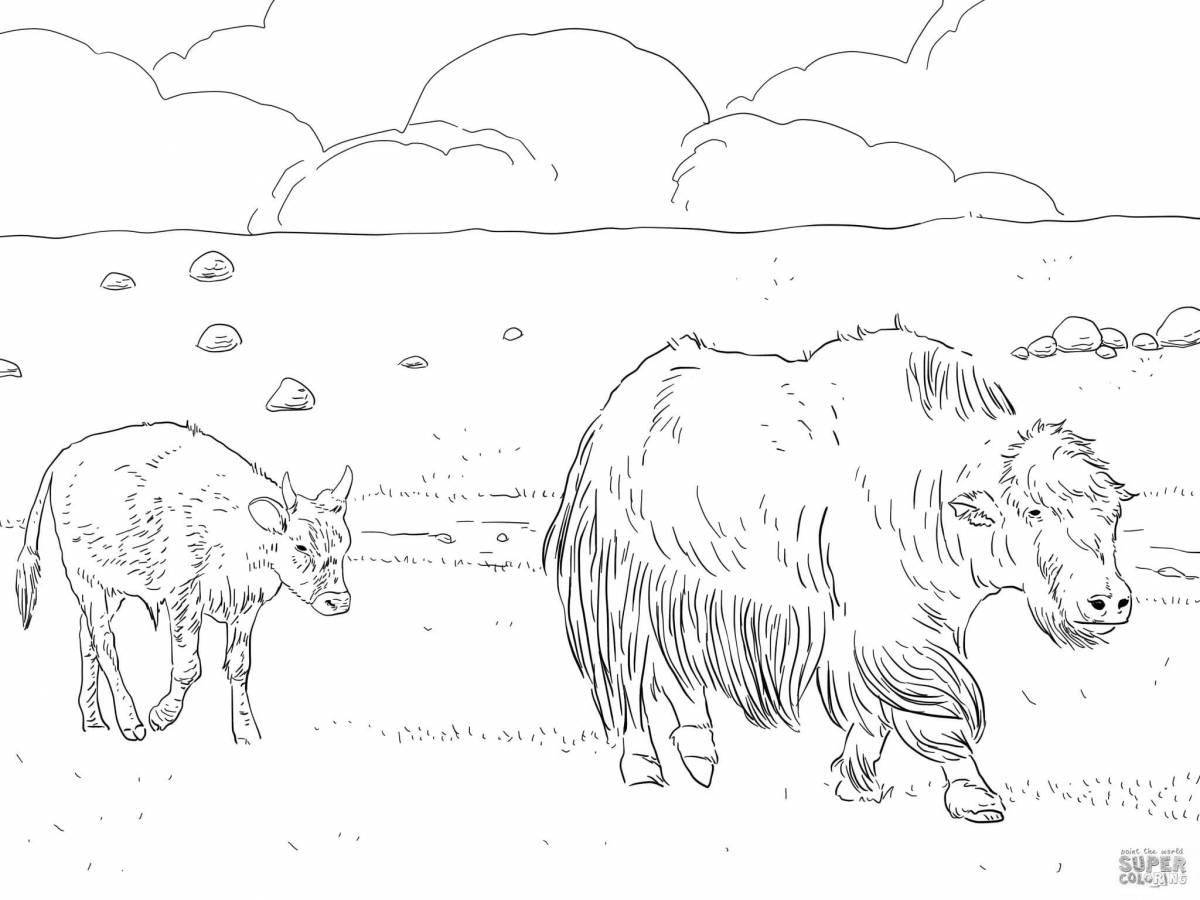 Sweet yak coloring pages for kids