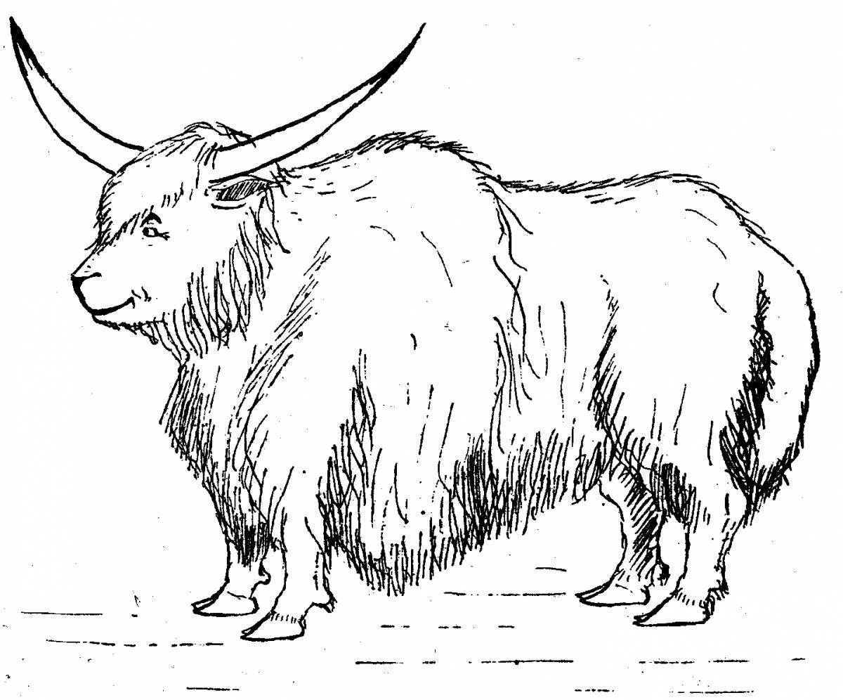 Glorious yak coloring book for kids
