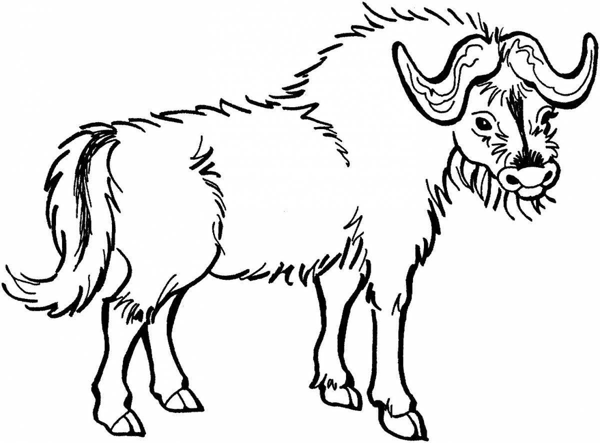Outstanding yak coloring book for kids