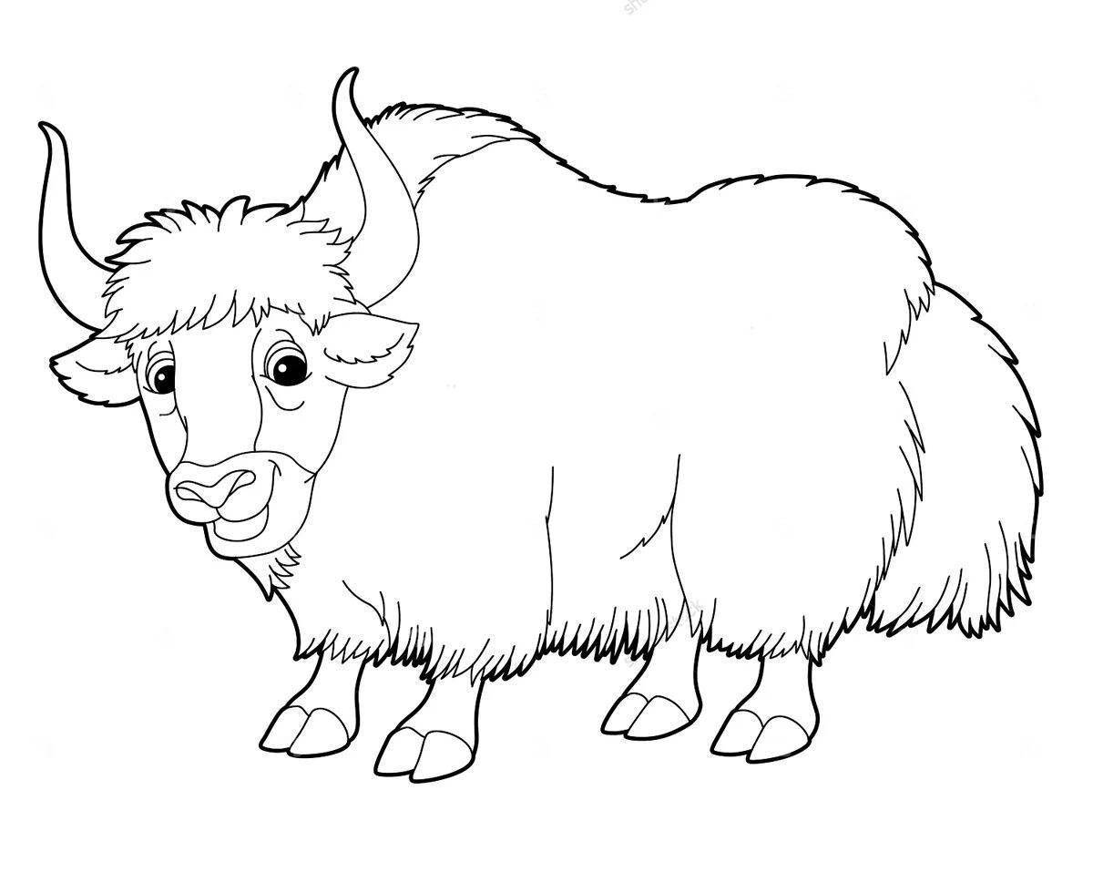 Gorgeous yak coloring book for kids