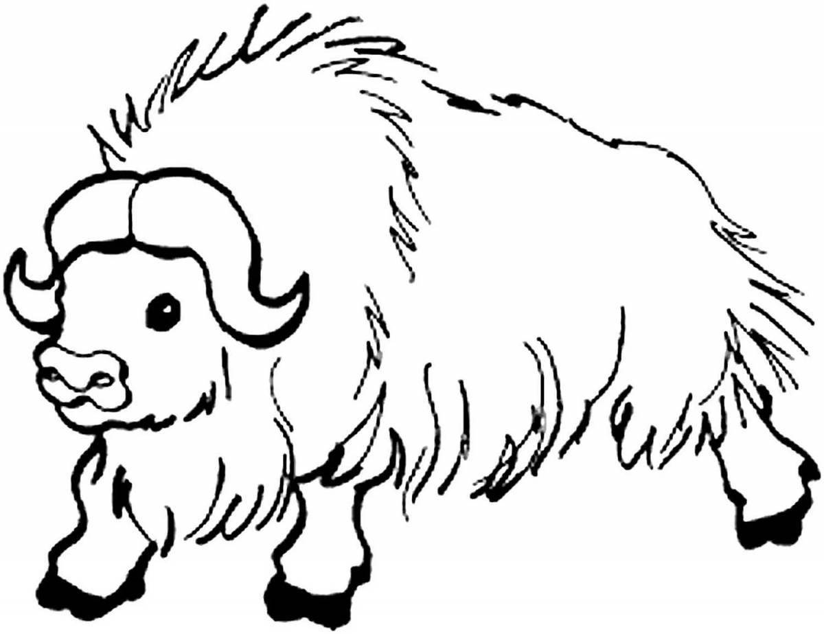 Adorable yak coloring book for kids