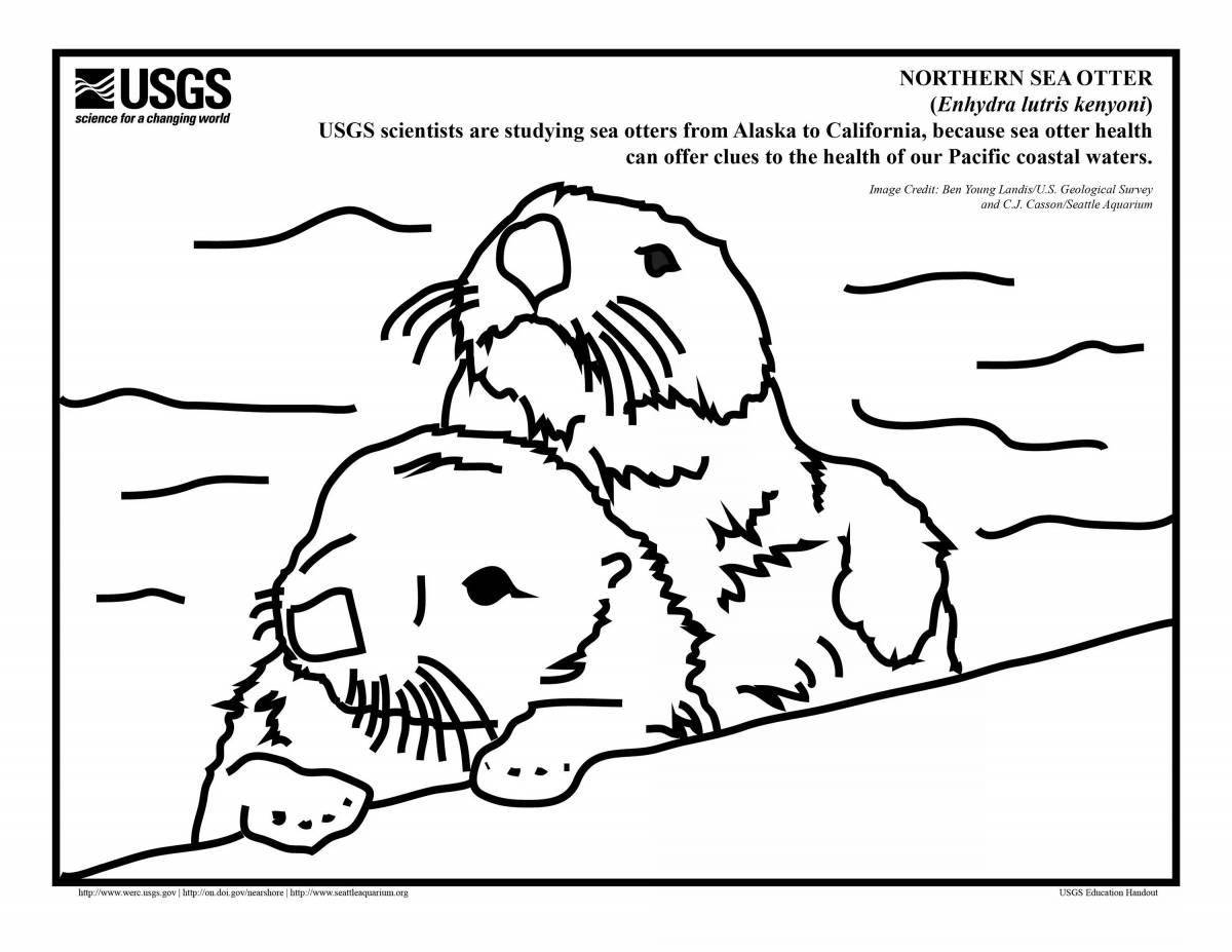 Otter friendly coloring book for kids