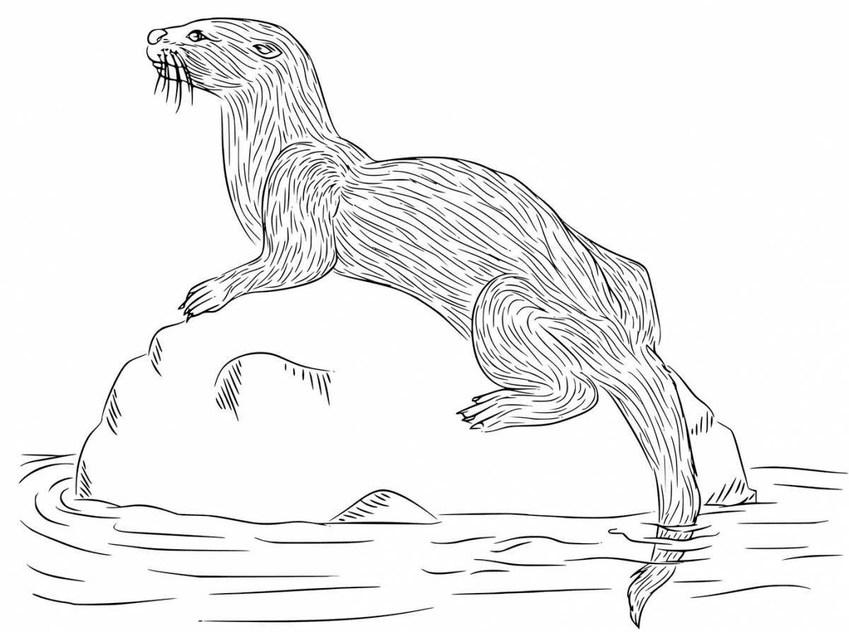 Otter coloring book for kids