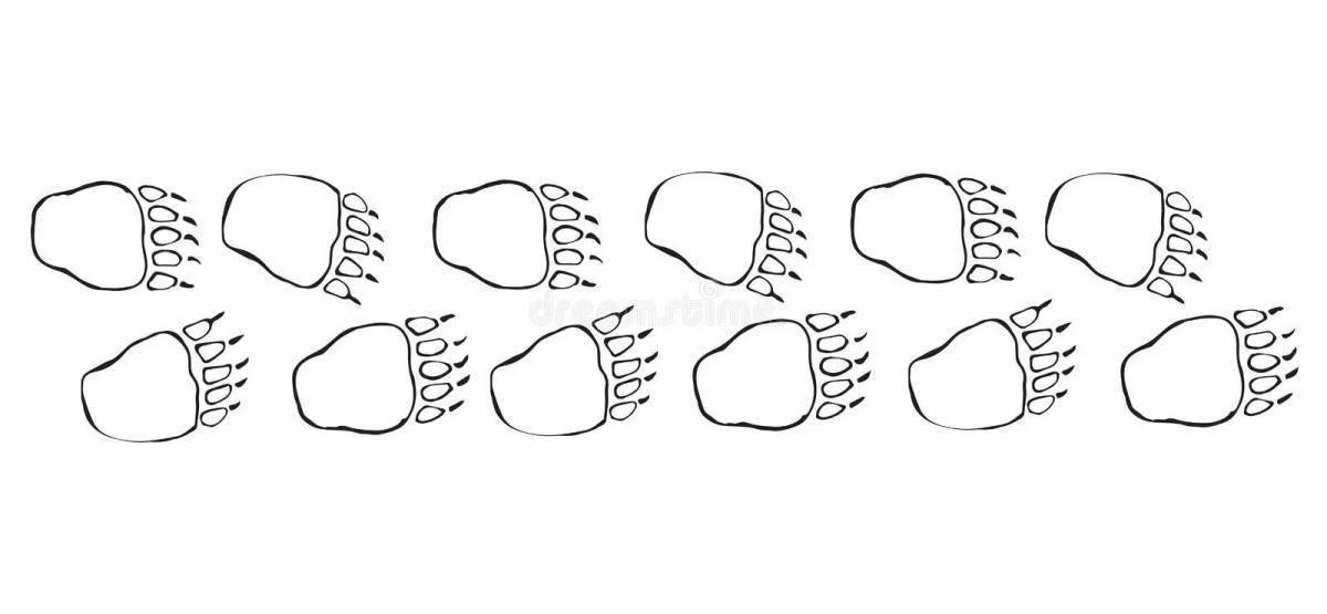 Следы медведя картинки для детей распечатать