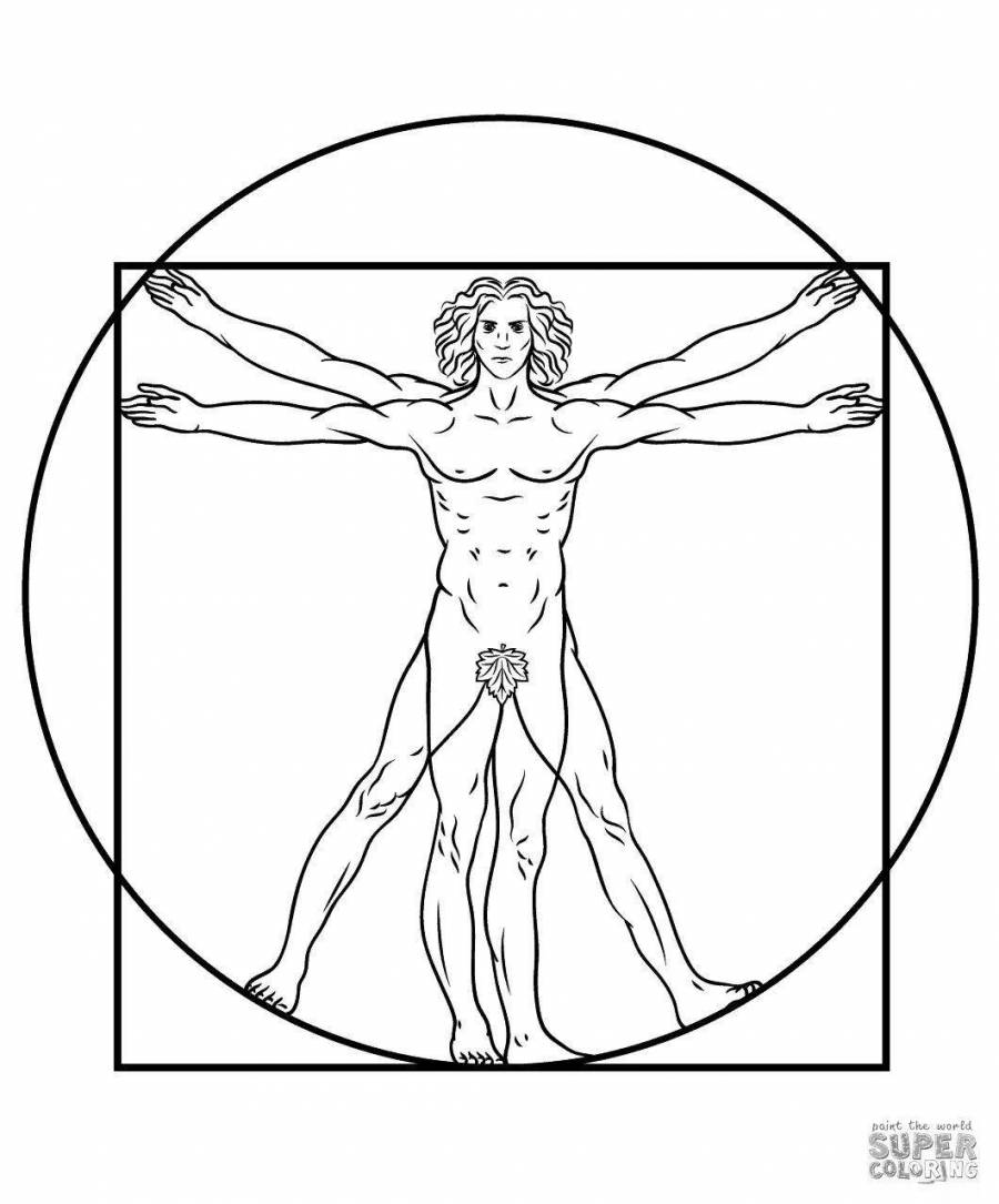Леонардо да винчи витрувианский человек описание картины