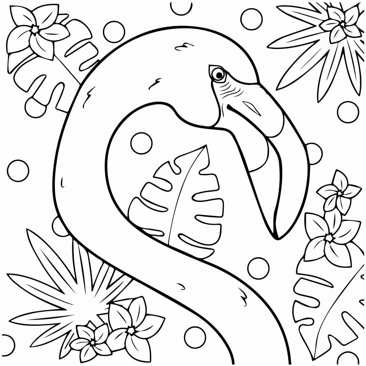 Colourful flamingo coloring for girls