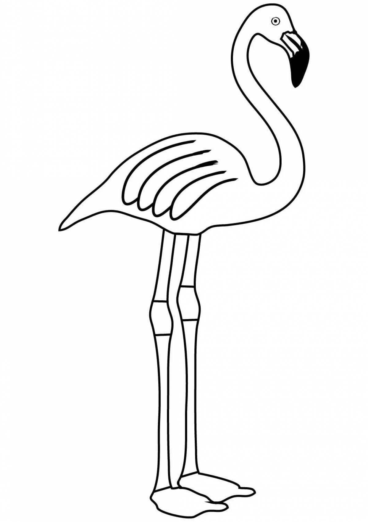 Coloring flamingos for girls