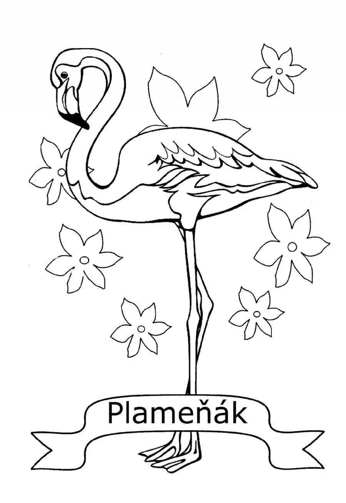 Adorable flamingo coloring book for girls