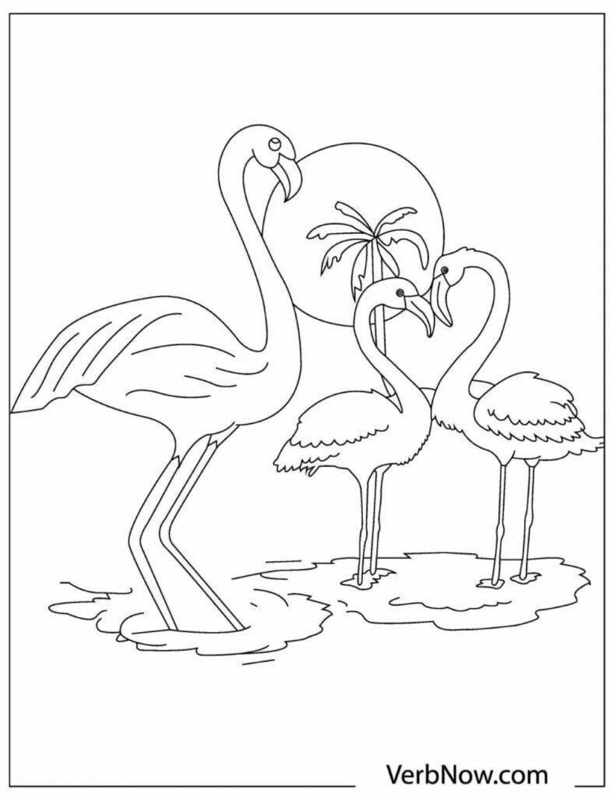 Fabulous flamingo coloring pages for girls